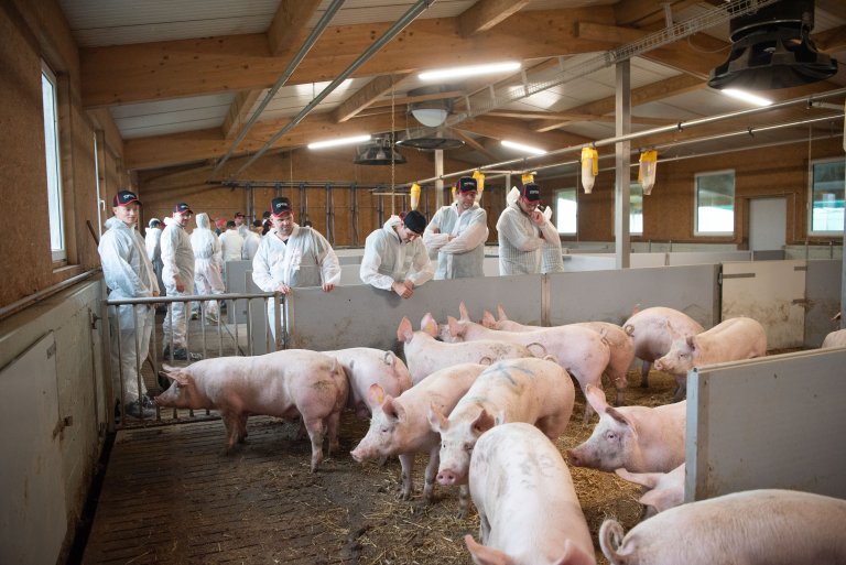 Fachtagung Kräuterschweine