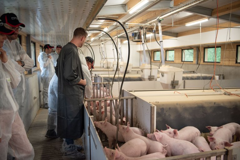Fachtagung Kräuterschweine