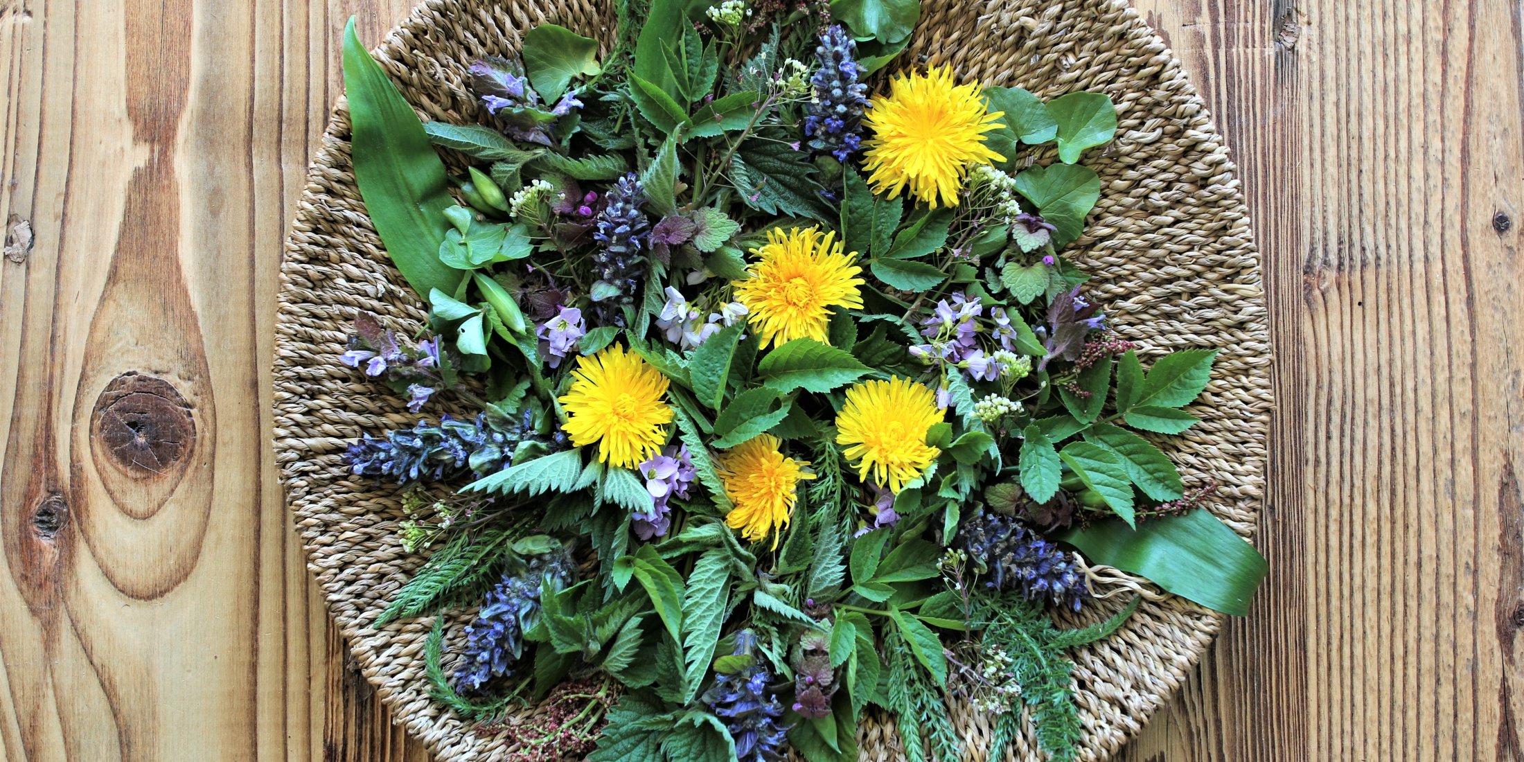 Wildkraeuter-geben-Kraft