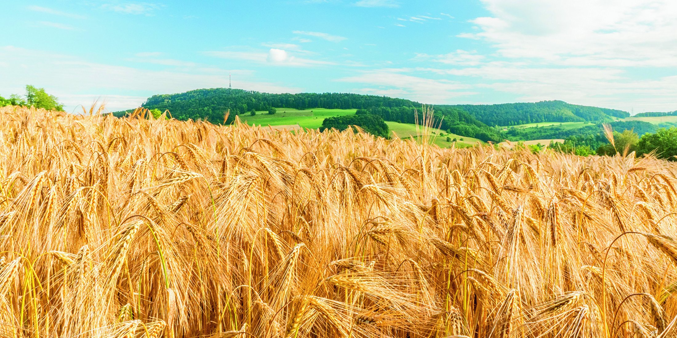 Block im gespraech header Landschaft