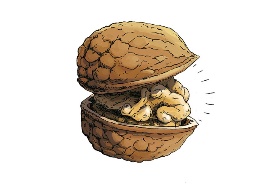 pistor-inspiration-amouse-bouche-walnuss