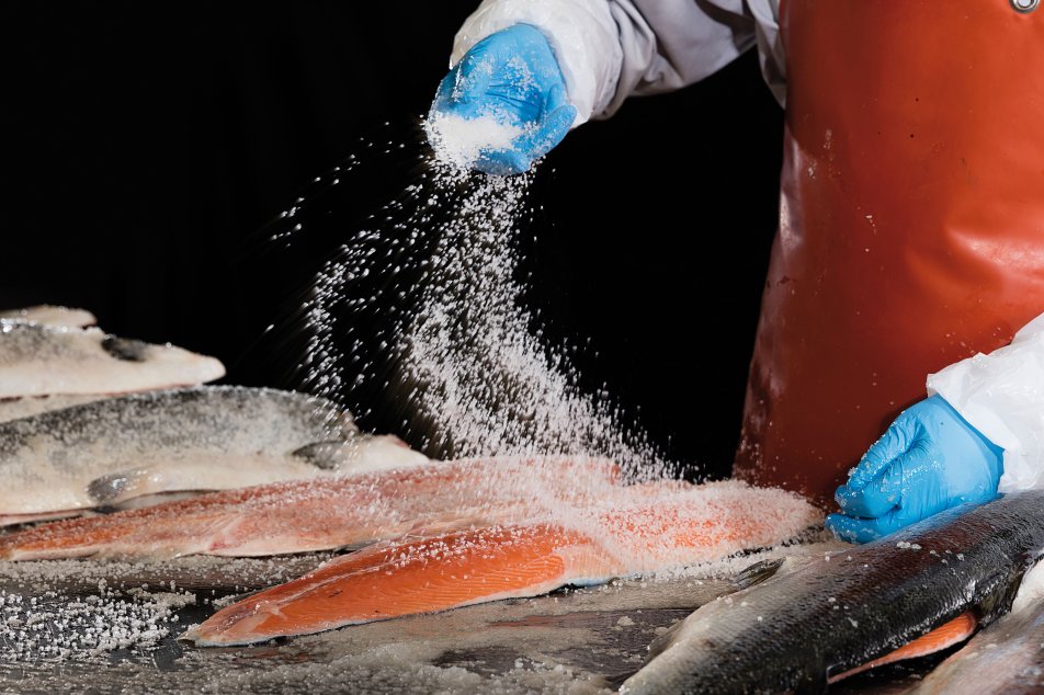 Lachs-salzen
