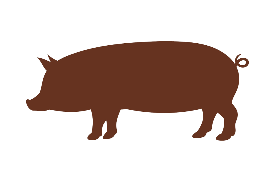 Niedergaren Schwein