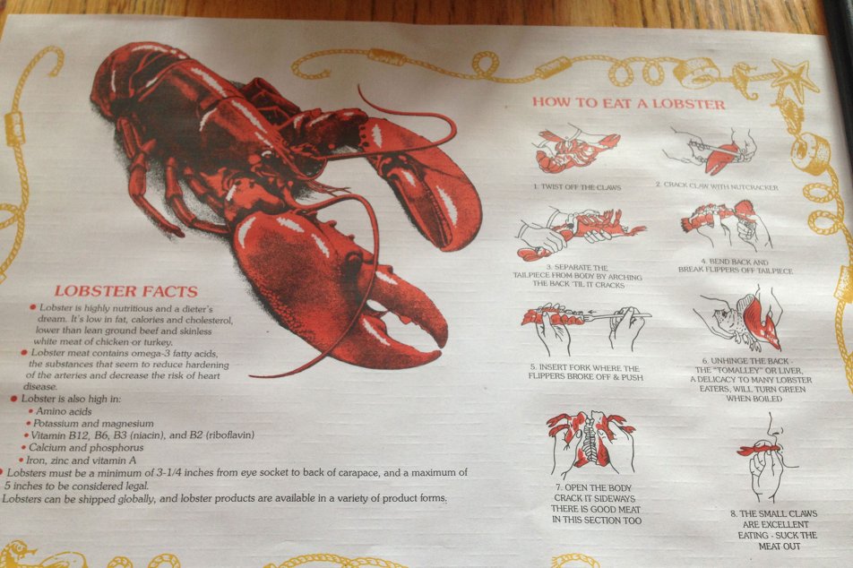 Auf Reisen Kennedy Kabeljau USA Amerika Lobster Neuengland