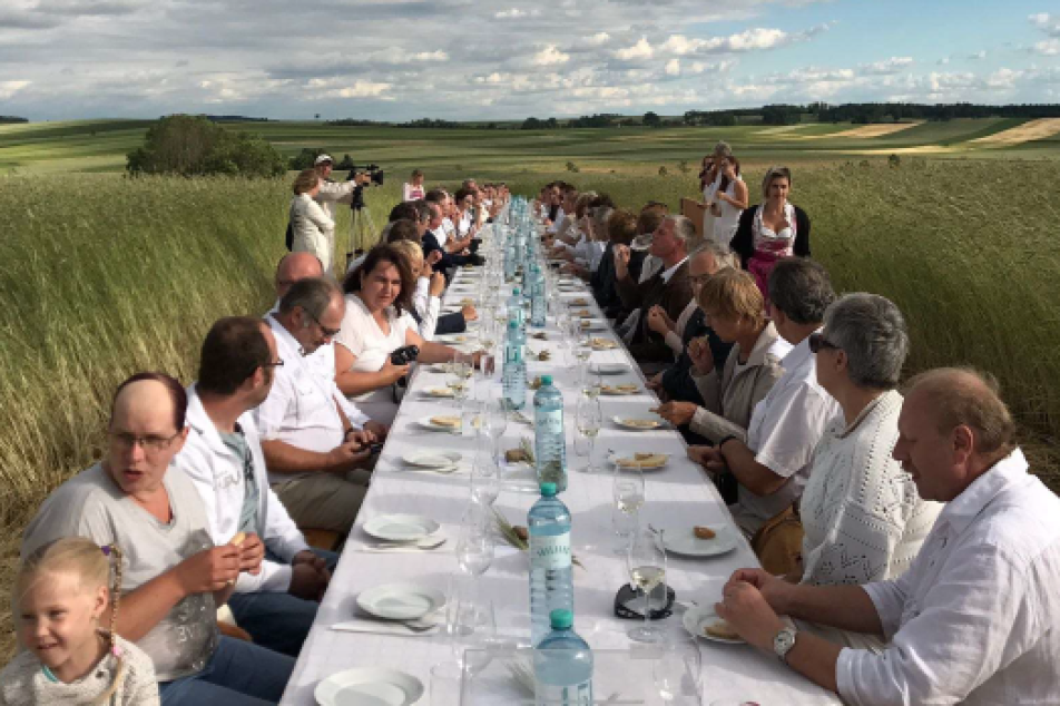 Pistor Blog Kasses Brot im Kornfeld