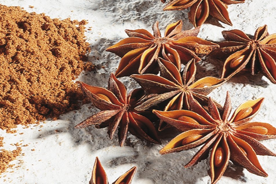 amousebouche-sternanis1