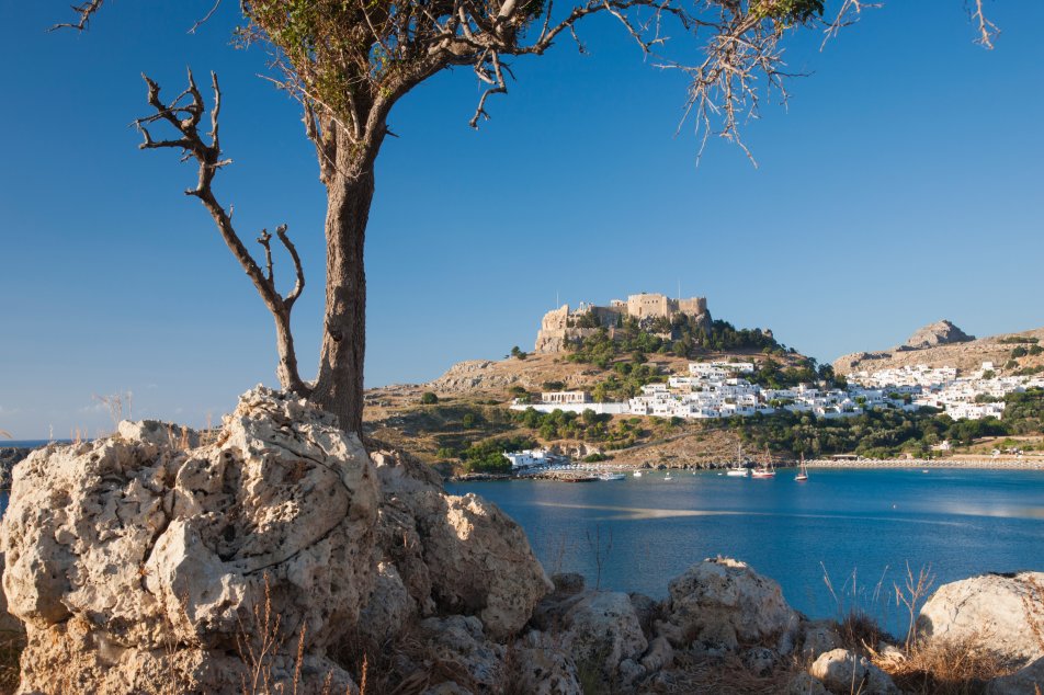 Auf Reisen Rhodos Kolymbia Inse mit Olivenbaum