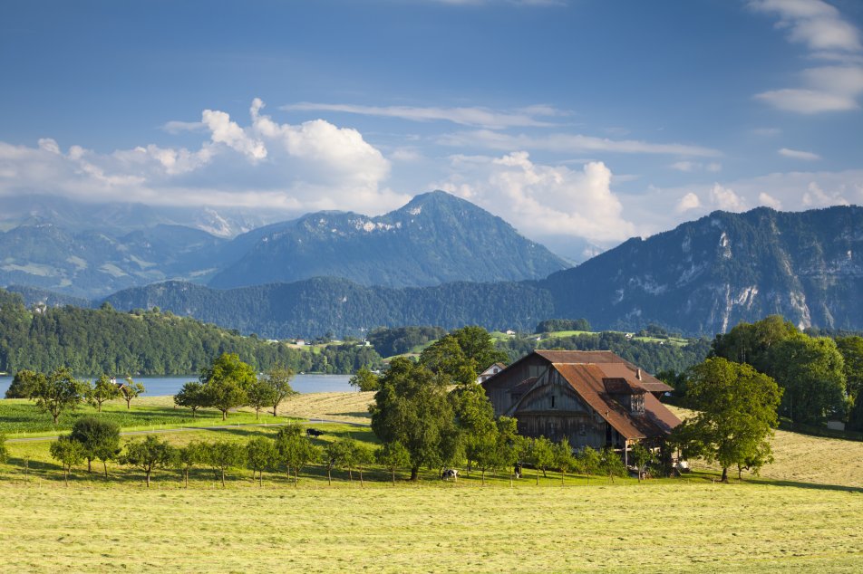 bauernhof
