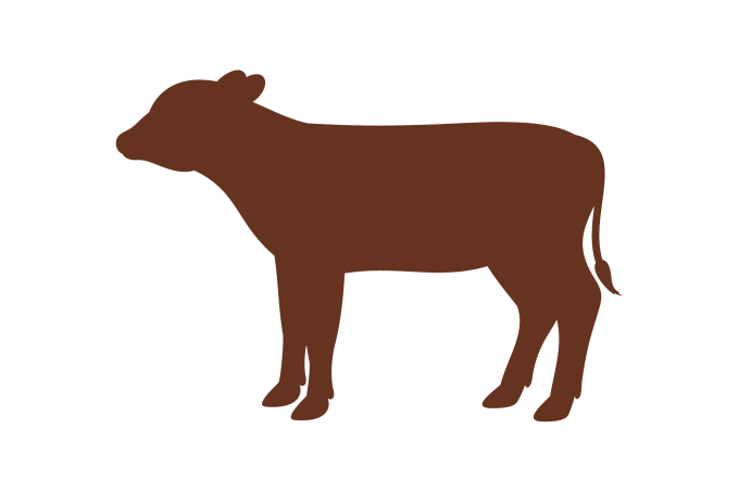 Niedergaren Kalb