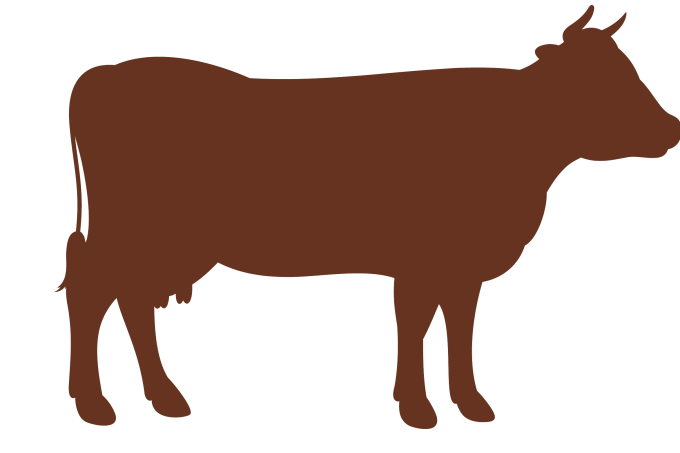 Niedergaren Rind
