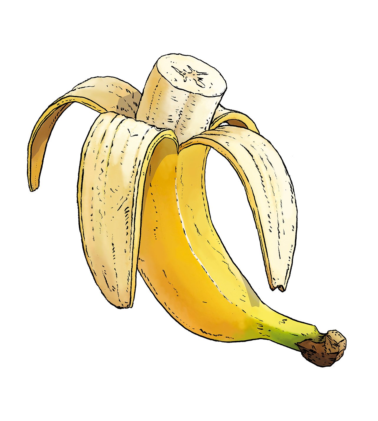 blog-illu-banane-hoch