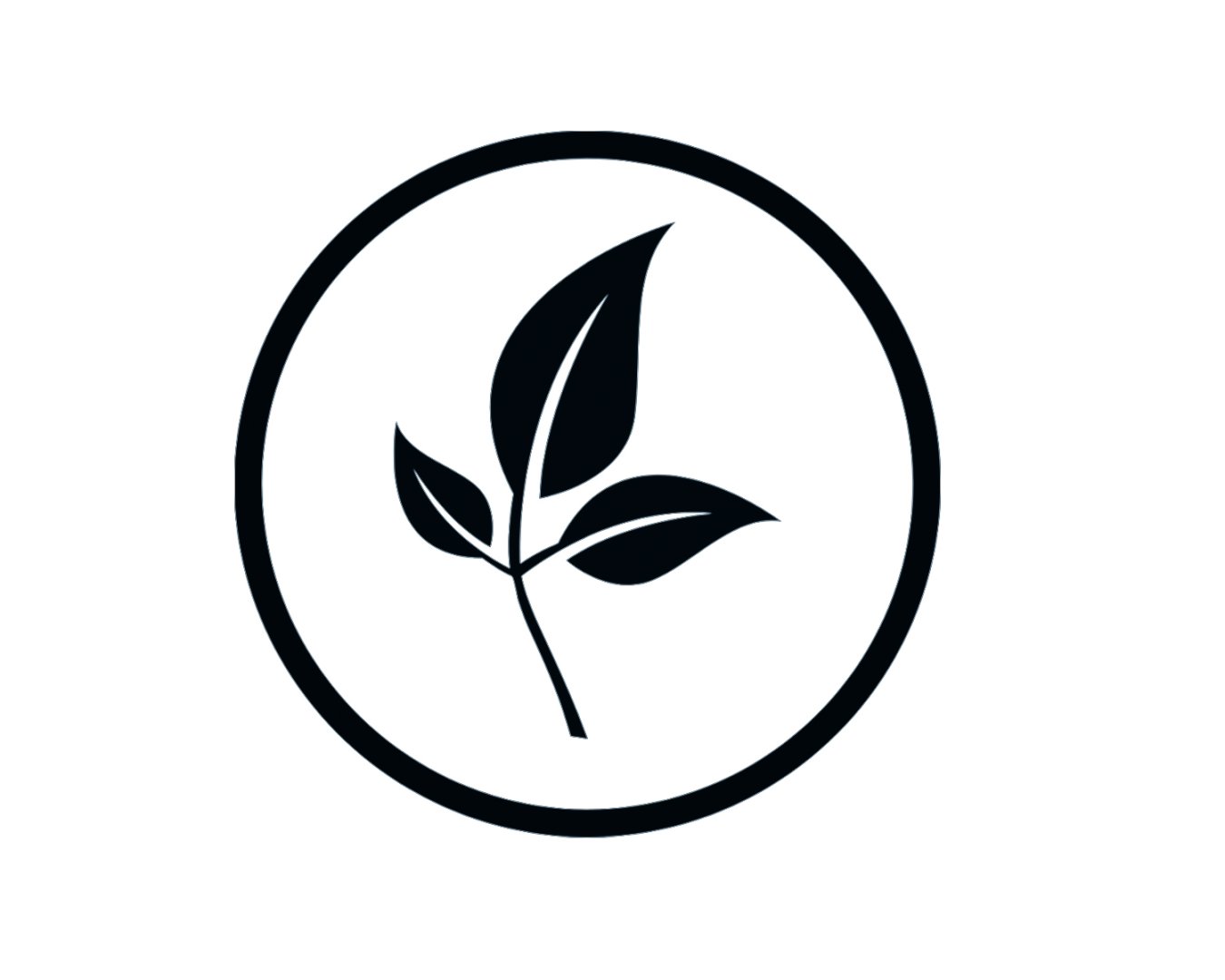Avanchta-icon-bio