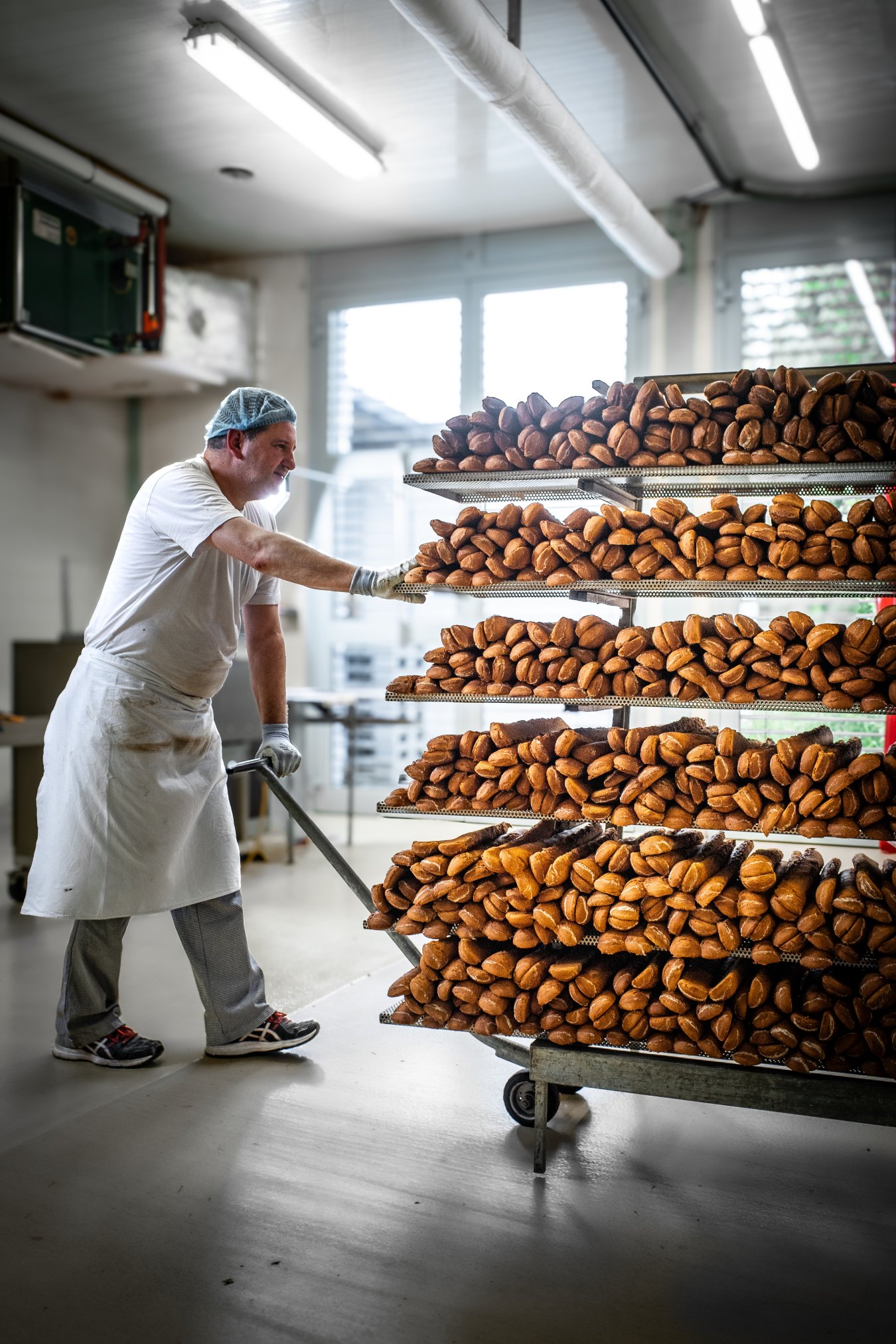 Magenbrot-Profi-AG-auskühlen