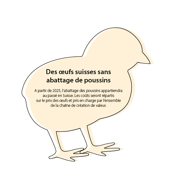 Kükengrafik_FR
