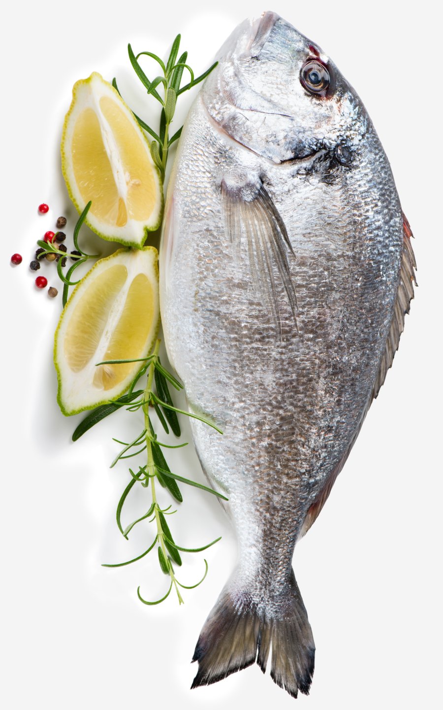Fisch_und_Flamme_Web-Hoch