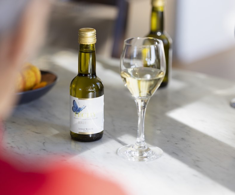 weine-kleinformat-teaser