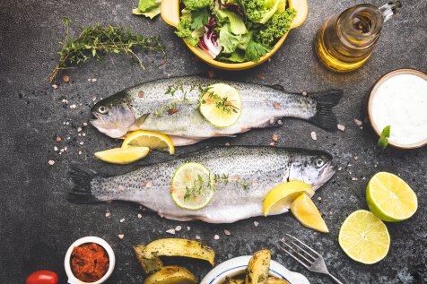 Fisch von Pistor