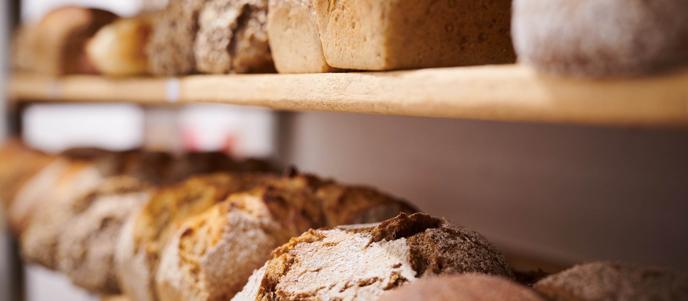 baeckerei bachhalde auswahl an brot mit eigenem getreide