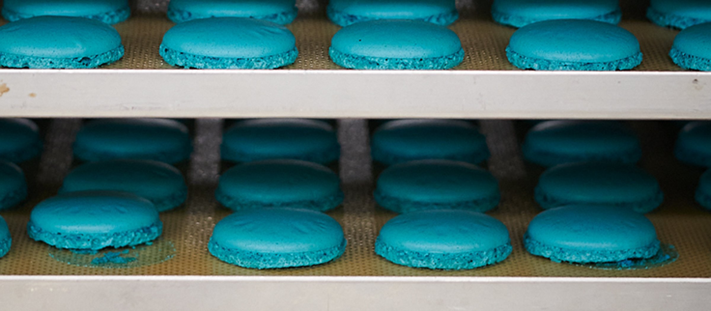 vollenweider blaue macaronschalen