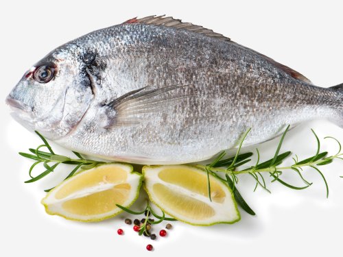 Fisch_und_Flamme_Web-Quer