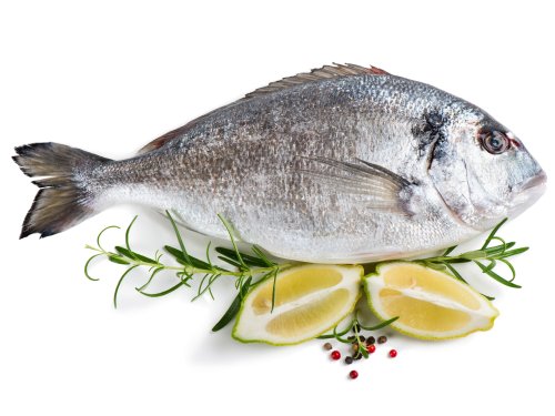 Fisch-Aroma-Blog