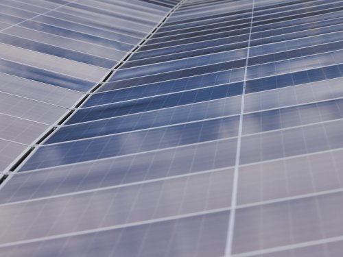 Pistor ökologische Nachhaltigkeit