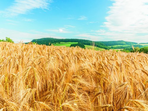 Block im gespraech header Landschaft